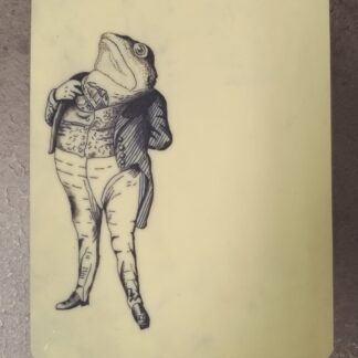 IMG_20250304_172122293 IMG_20250304_172122293